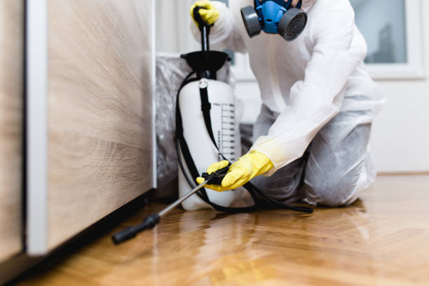 Best Best Pest Control Companies  in Trumansburg, NY
