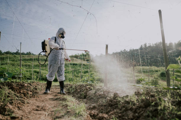Best Ant Control Services  in Trumansburg, NY