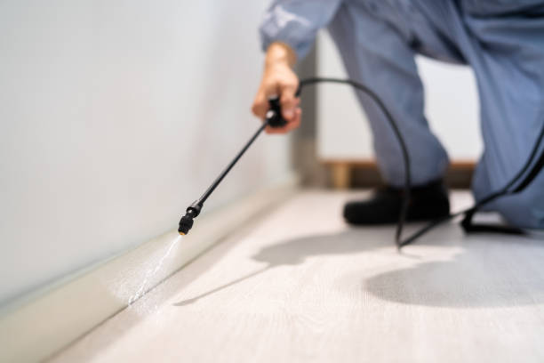 Wildlife Control Services in Trumansburg, NY