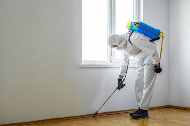 Best Pest Inspection Near Me  in Trumansburg, NY