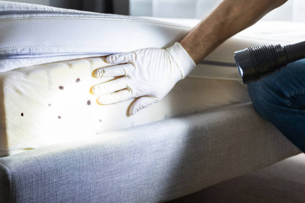  Trumansburg, NY Pest Control Pros