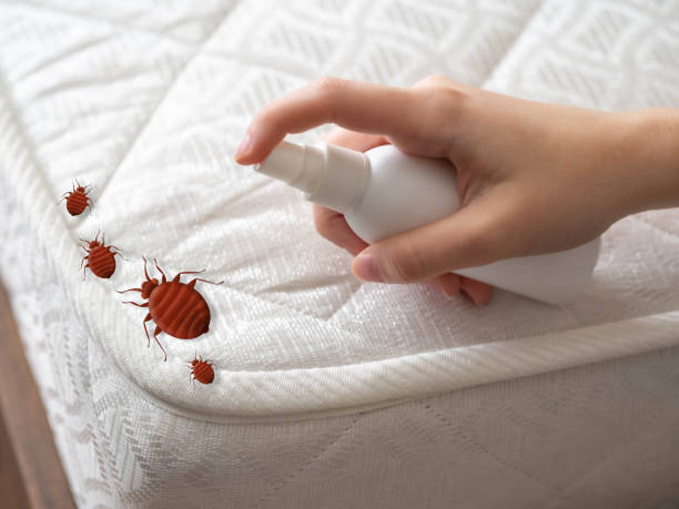 Best Insect Control  in Trumansburg, NY