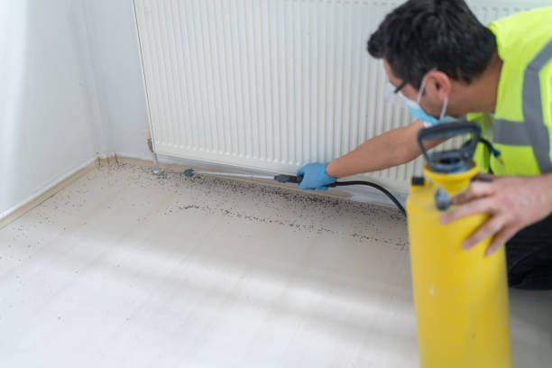Best Termite Control Services  in Trumansburg, NY
