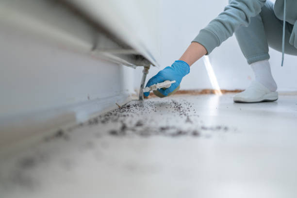 Best Emergency Pest Control  in Trumansburg, NY
