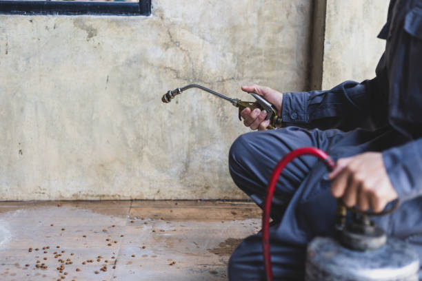 Best Termite Control Services  in Trumansburg, NY